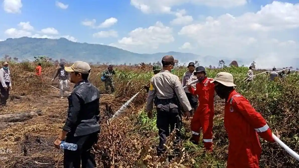 Lahan Seluas 150 Hektar Terbakar di Kolaka Timur