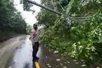 petugas-saat-membersihkan-pohon-tumbang-dan-dua-unit-tiang-listrik-di-desa-jati.jpg