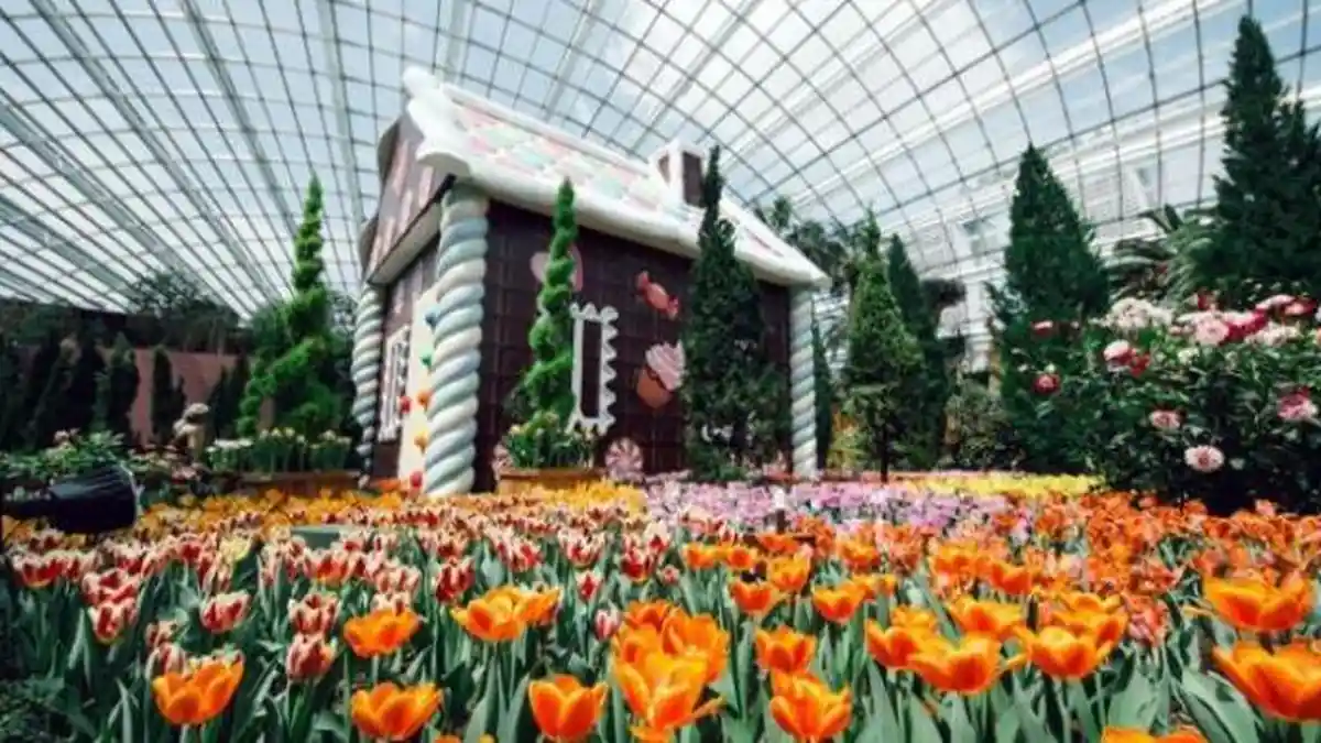 Bukan di Belanda, Hamparan Bunga Tulip Ini di Singapura