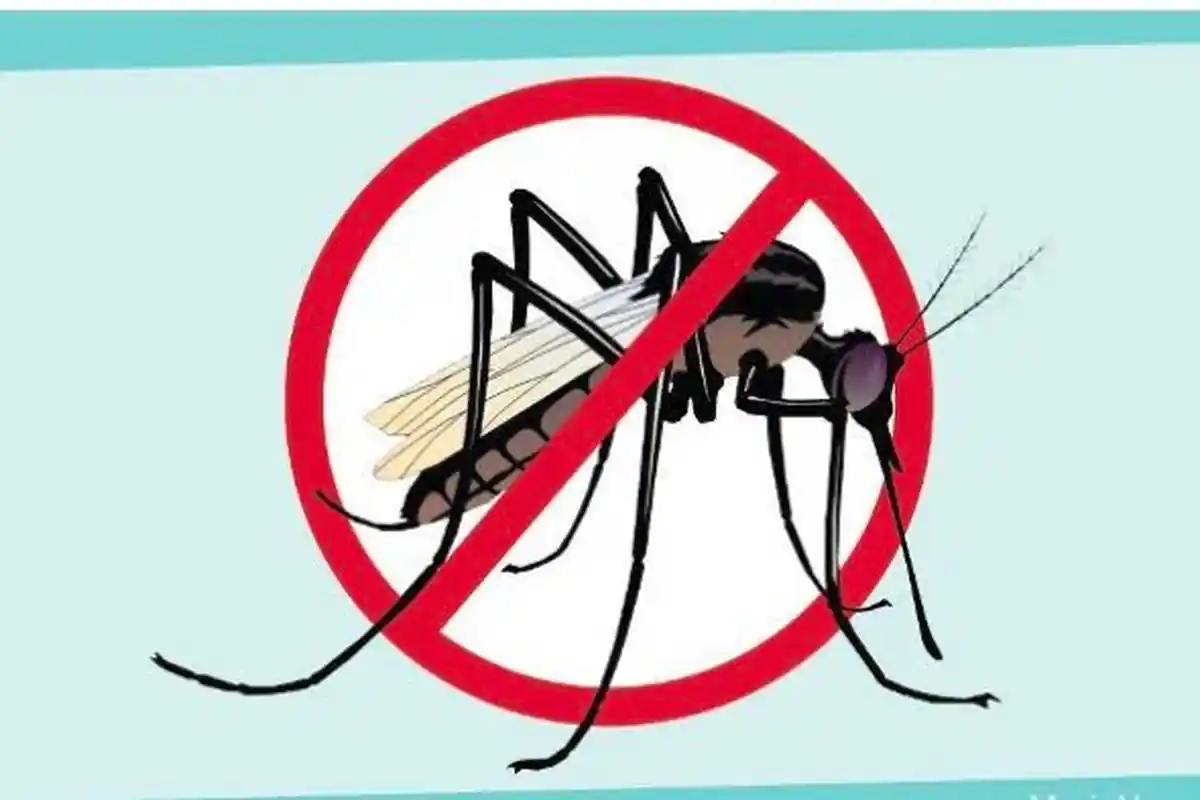 Musim Penghujan, Rawan Penyakit DBD, Dinkes Sampang Imbau Masyarakat Lakukan 3M & Makan Bergizi