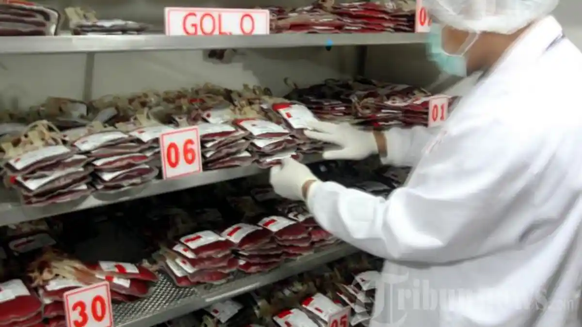Stok Darah PMI kota Balikpapan Hari Ini, Masing-Masing Golongan Darah Butuh 15-20 Kantong.