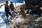 Tempat Pengepulan Kulit Hewan Kurban