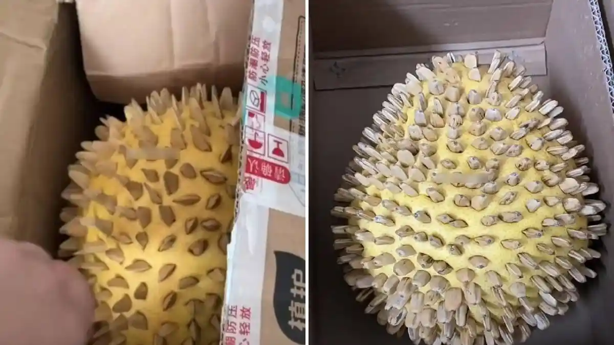 Syok Berat! Wanita Beli Durian Secara Online, yang Datang Malah Jeruk Bali Diberi Duri Buatan