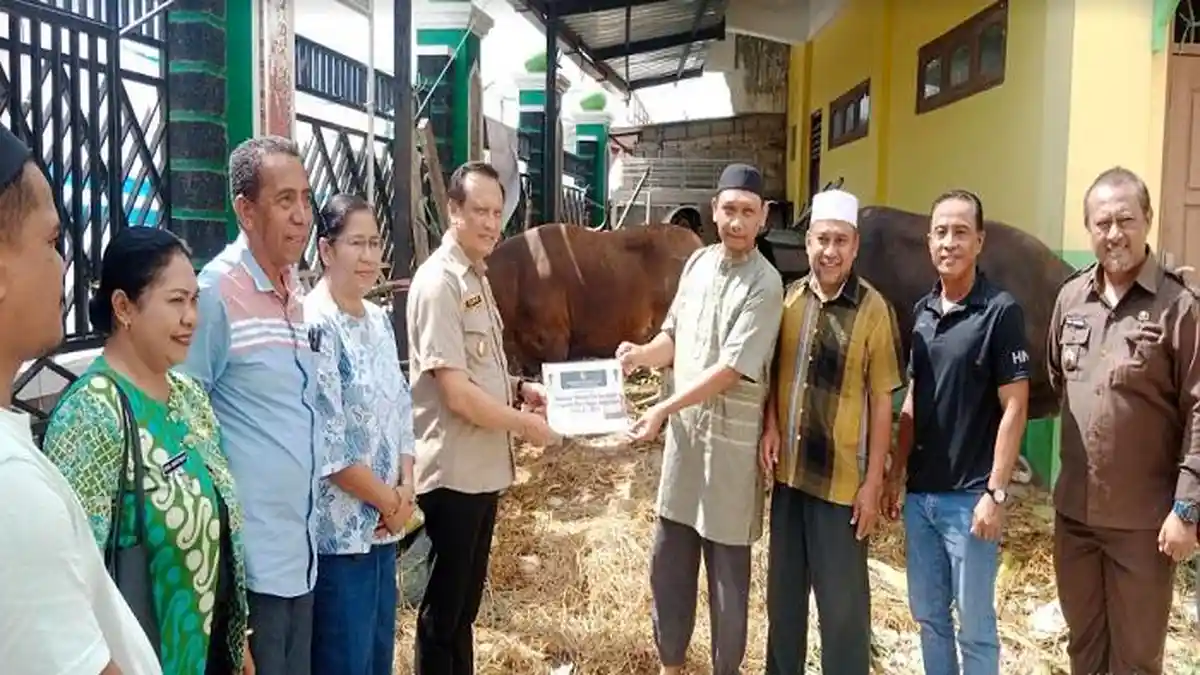 Bupati Belu Serahkan Hewan Kurban di Masjid Hidayatullah Atambua