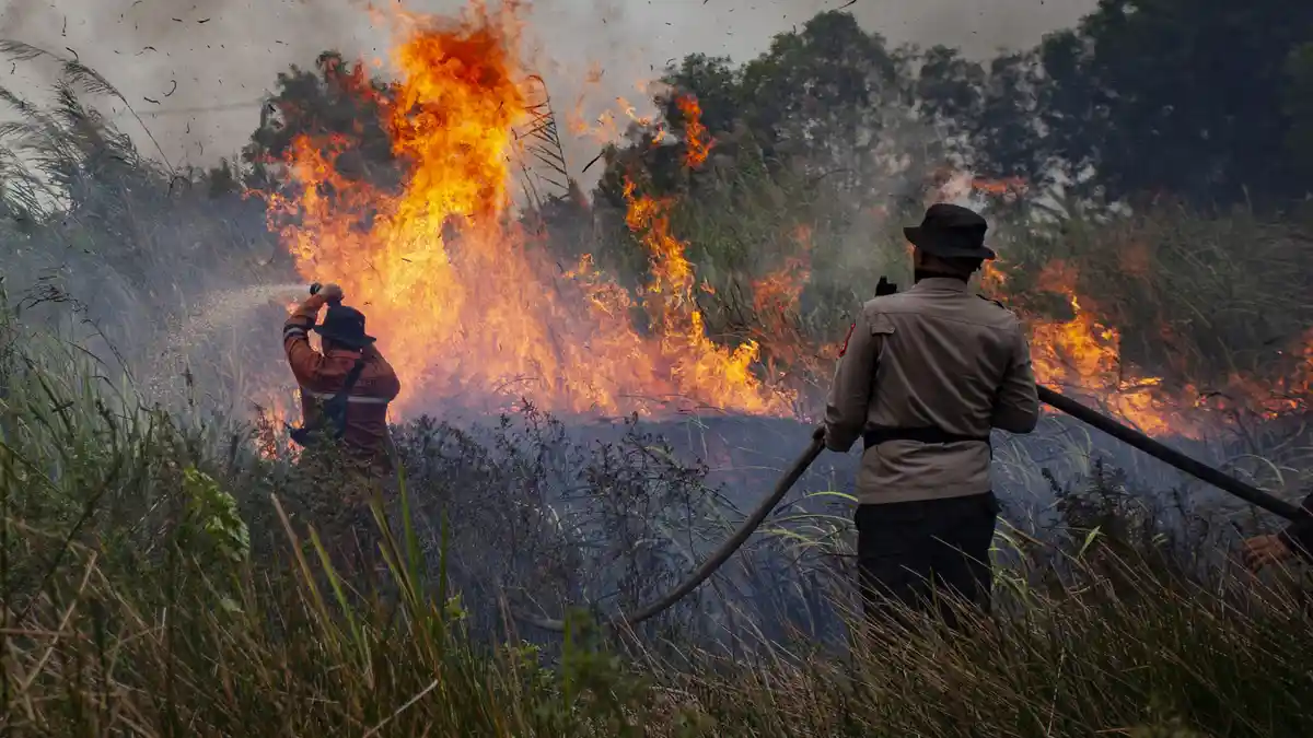 Percepat Penanganan Karhulta, Pemprov Sumsel Perpanjang Teknik Modifikasi Cuaca