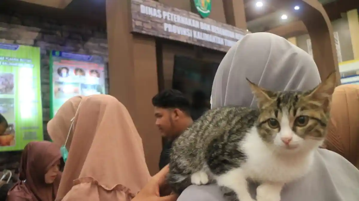 Viral Video Seorang Pria Makan Kucing Hidup-hidup, Polisi Langsung Bergerak Cari Pelaku
