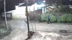 Dalam-Semalam-3-Motor-Honda-Beat-Warga-Palem-Mutiara-Prabumulih-Digondol-Maling-Pelakunya-3-Orang.jpg