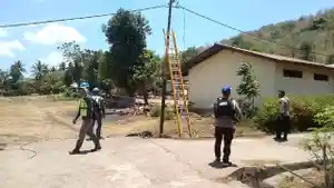pln-di-adonara.jpg