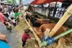 Jelang Idul Adha Penjual Hewan Kurban Mulai Marak
