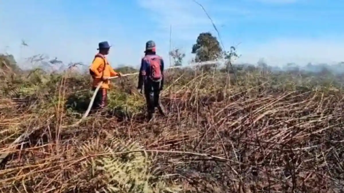 Kebakaran Lahan di Aceh Barat Meluas, Titik Api Bertambah, BPBD Sulit Mobilisasi Alat