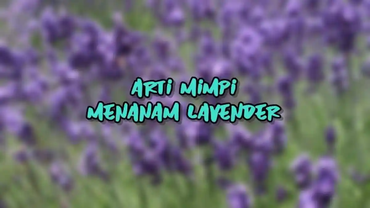 Arti Mimpi Menanam Lavender, Pertanda si Pemimpi Ingin Ada Kedamaian, Ini Tafsir Lengkapnya