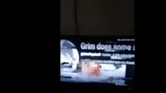 Tribun