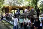 Kebun Binatang Surabaya jadi Magnet Wisata Warga