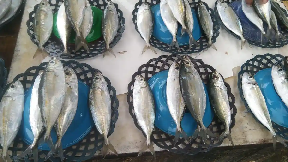 Cuaca Buruk, Penjualan Ikan di Pasar Mardika Ambon Naik Harga