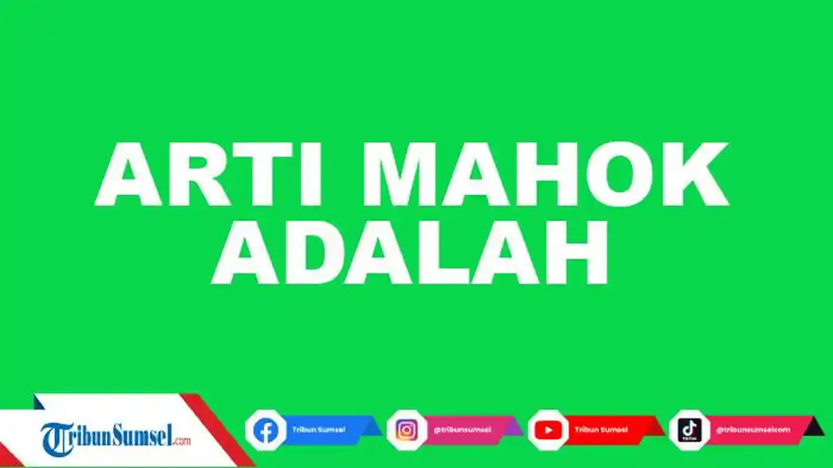 Arti Mahok Dalam Bahasa Gaul, Istilah Populer yang Viral di Tiktok