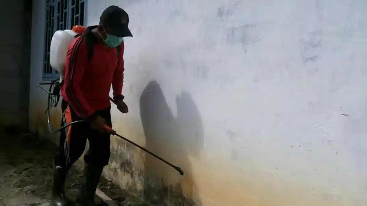 Ini yang Harus Dilakukan Agar Ulat Bulu Jangan Masuk Rumah