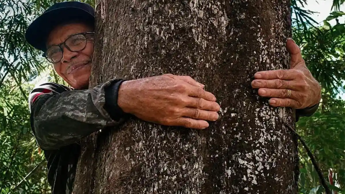 Masyarakat Ensaid Panjang Usulkan Bukit Rentap Jadi Hutan Adat, Demi Lindungi Sumber Air dan Budaya - Tribunpontianak.co.id