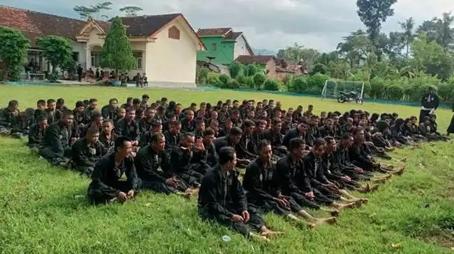 Tribun