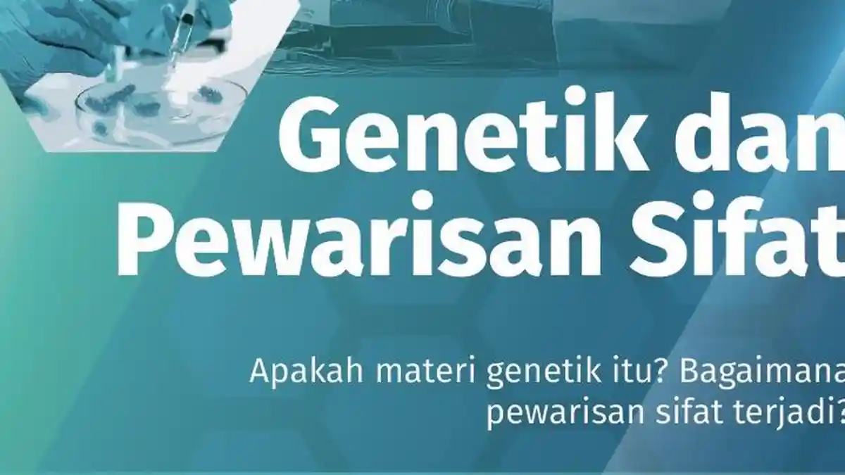 Rangkuman Materi Biologi Kelas 12 Bab 2 Bagian B: Sintesis Protein