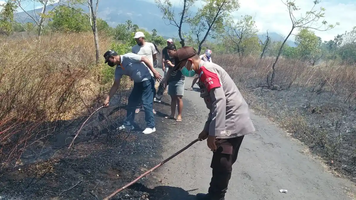 Hektaran Lahan Warga di Banjar Dinas Lebah Karangasem Hangus Dilahap Si Jago Merah