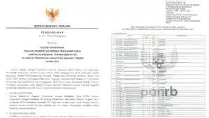 Link-PDF-Rincian-Kebutuhan-PPPK-Tenaga-Kesehatan-di-Maluku-Tengah-Formasi-Tenaga-Guru-597.jpg