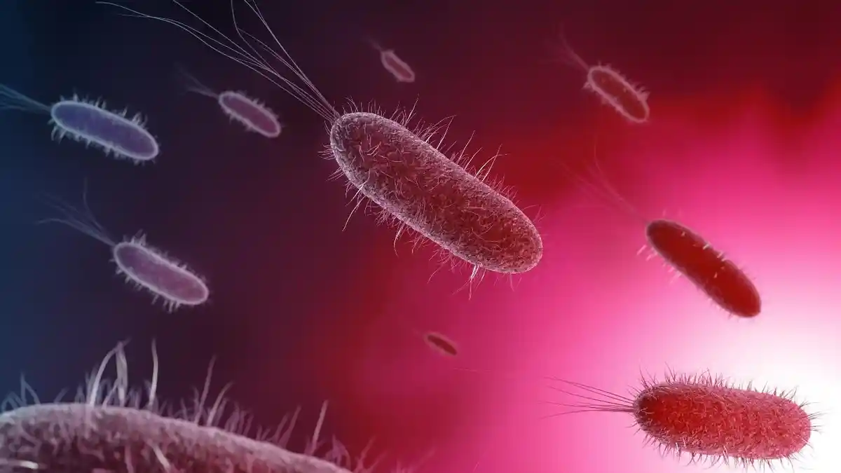 Ada Komunikasi Antara Mikroba Usus dan Otak Anak