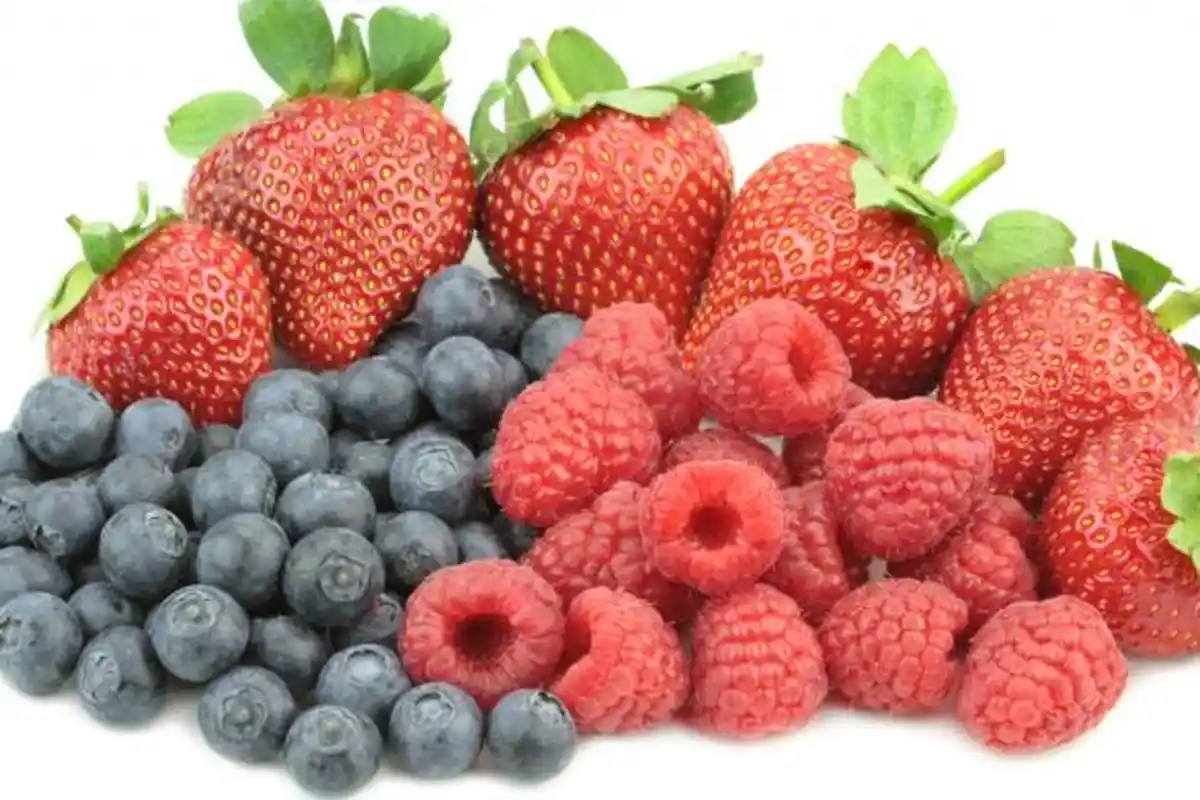 7 Makanan Terbaik untuk Kesehatan Ginjal