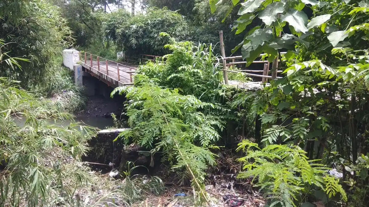 MEMPRIHATINKAN, Begini Kondisi Jembatan Tengulan-Cembing di Bantul yang Butuh Perbaikan 