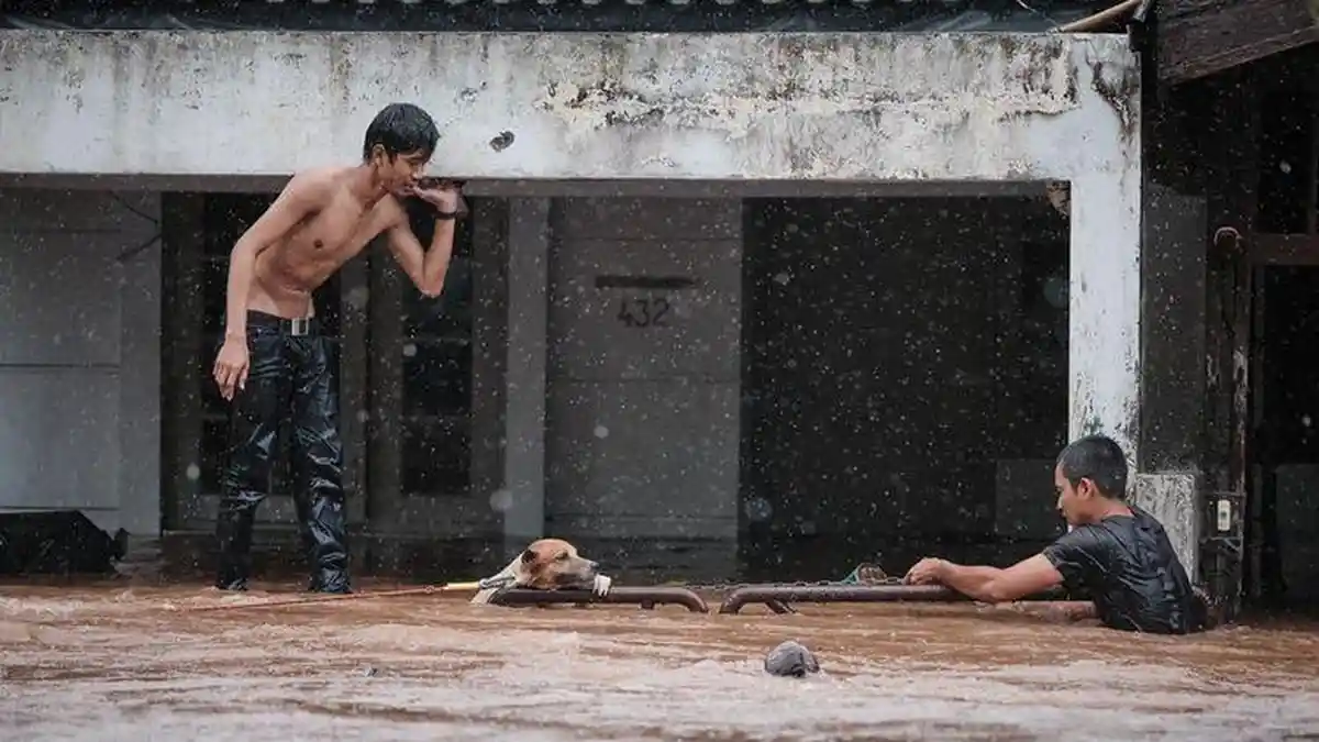 Viral Kisah Dramatis Penyelamatan Seekor Anjing dari Terjangan Banjir