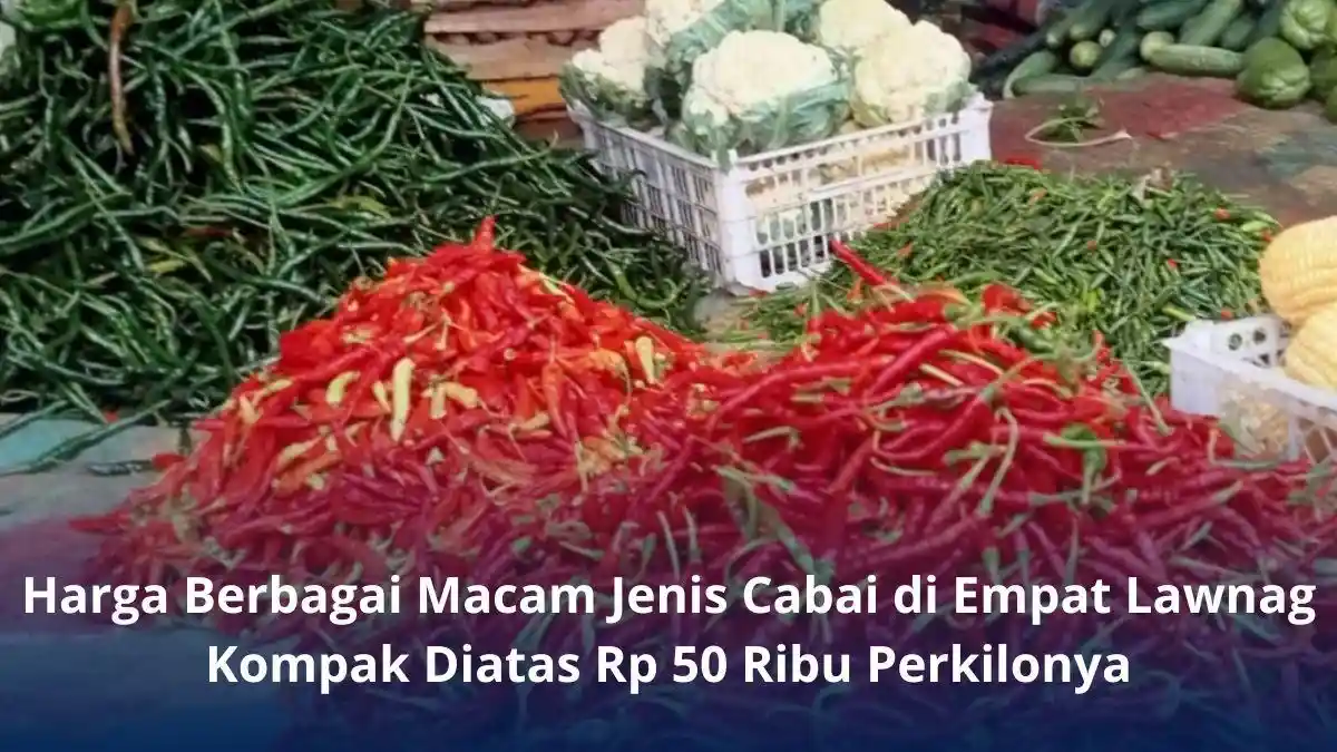 Daftar Harga Berbagai Jenis Cabai di Pasar Pulo Mas Empat Lawang, Cabai Merah Kriting Rp 60 Ribu