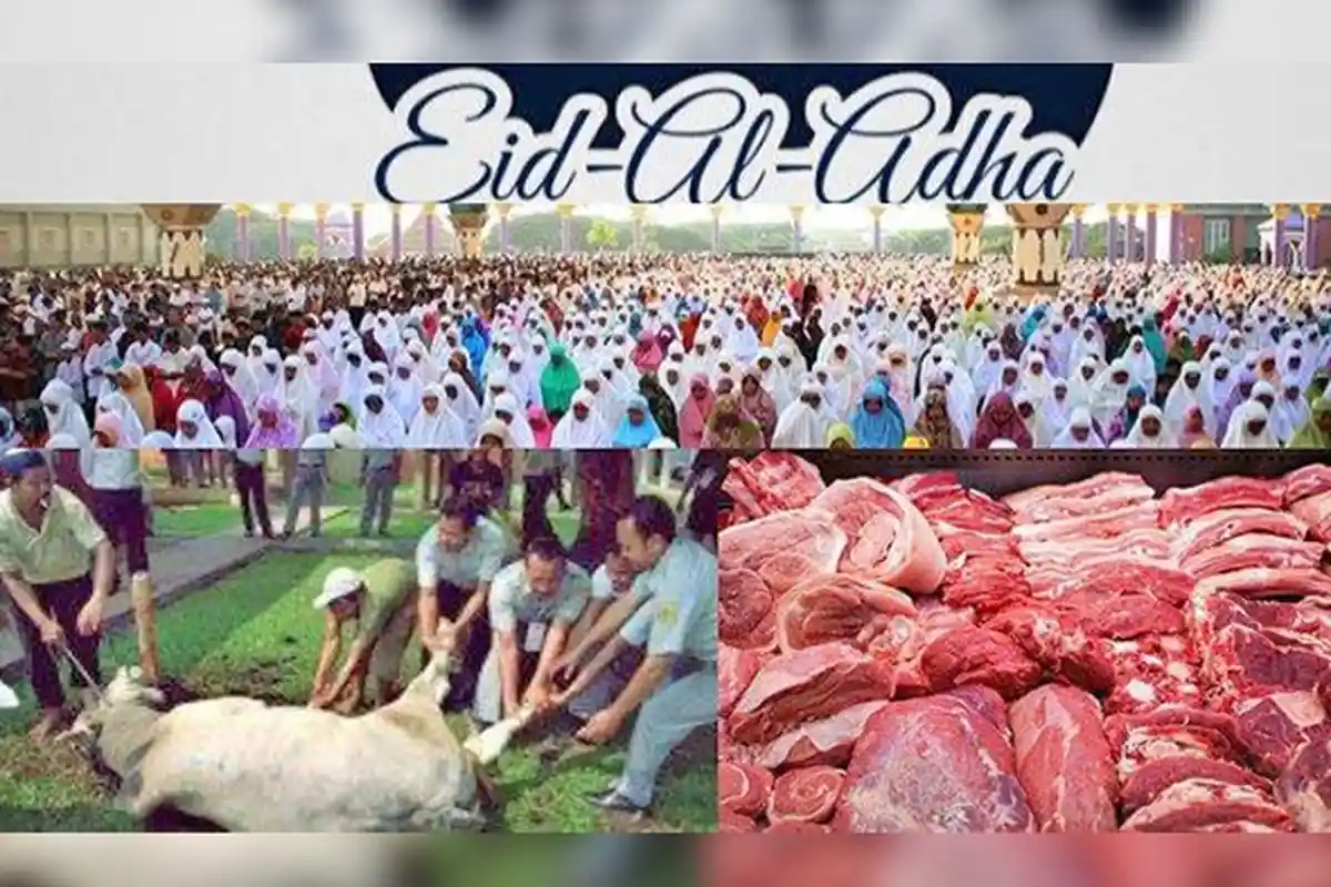 Idul Adha 2020, Ini Daftar Harga Hewan Kurban, Rp 1,5 Juta Bisa Dapat Kambing Berat 28 Kg