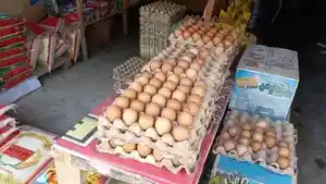 harga-telur-ayam-Sulawesi-Tenggara-naik.jpg
