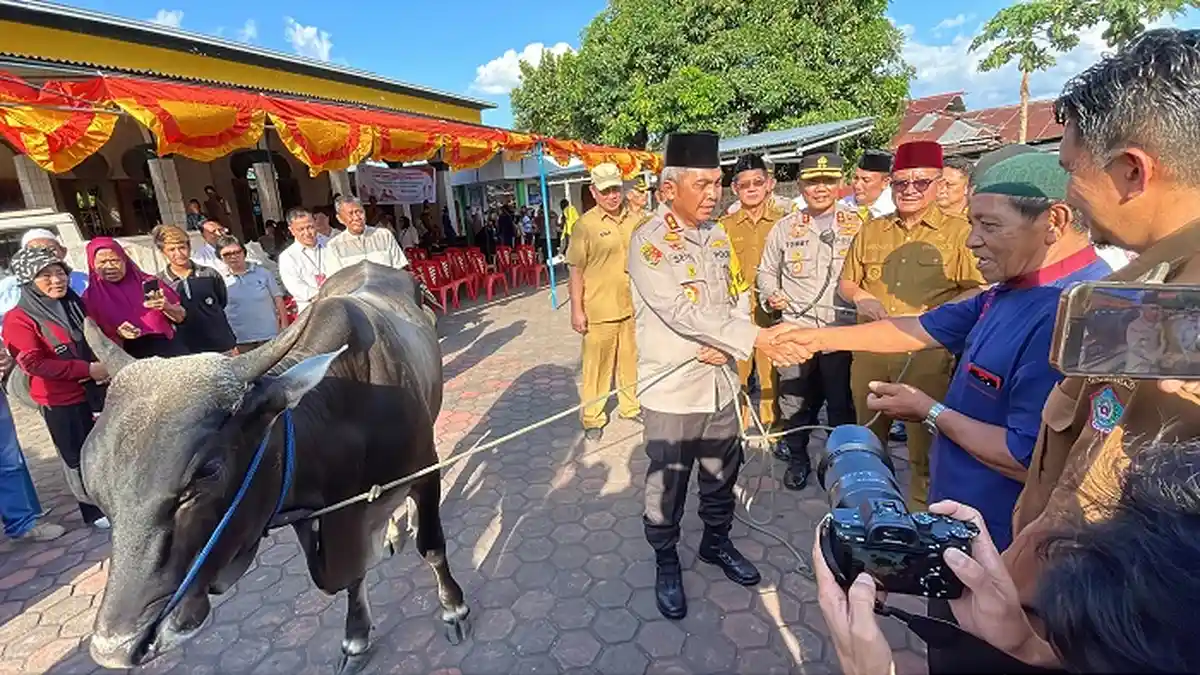 Kapolda Sulut Irjen Setyo Budiyanto Serahkan Sapi dan Tunjang Pengendalian Inflasi di Kota Bitung