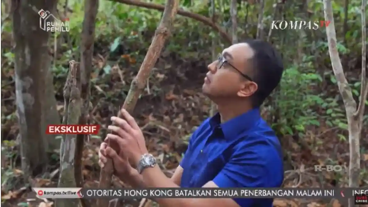 PENAMPAKAN Bajakah Tumbuhan Penyembuh Kanker yang Dianggap Mistis oleh Suku Dayak, Ini Videonya