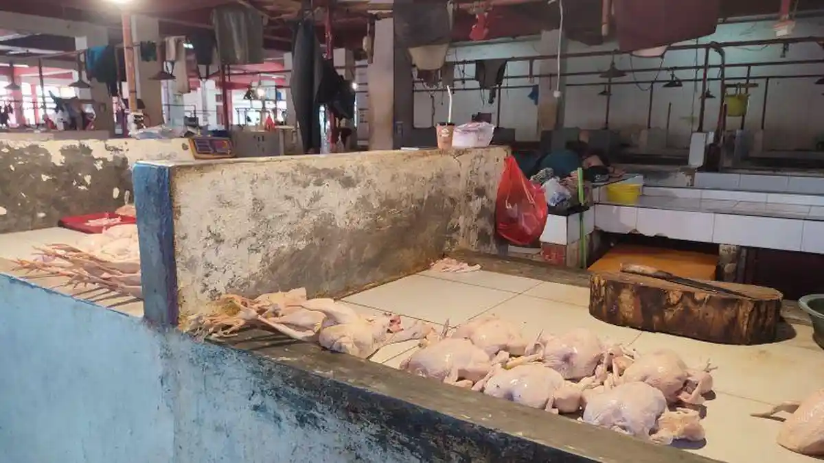 Daftar Harga Daging di Pasar Bersehati Manado Sulawesi Utara: Ayam dan Babi Turun, Sapi Stabil