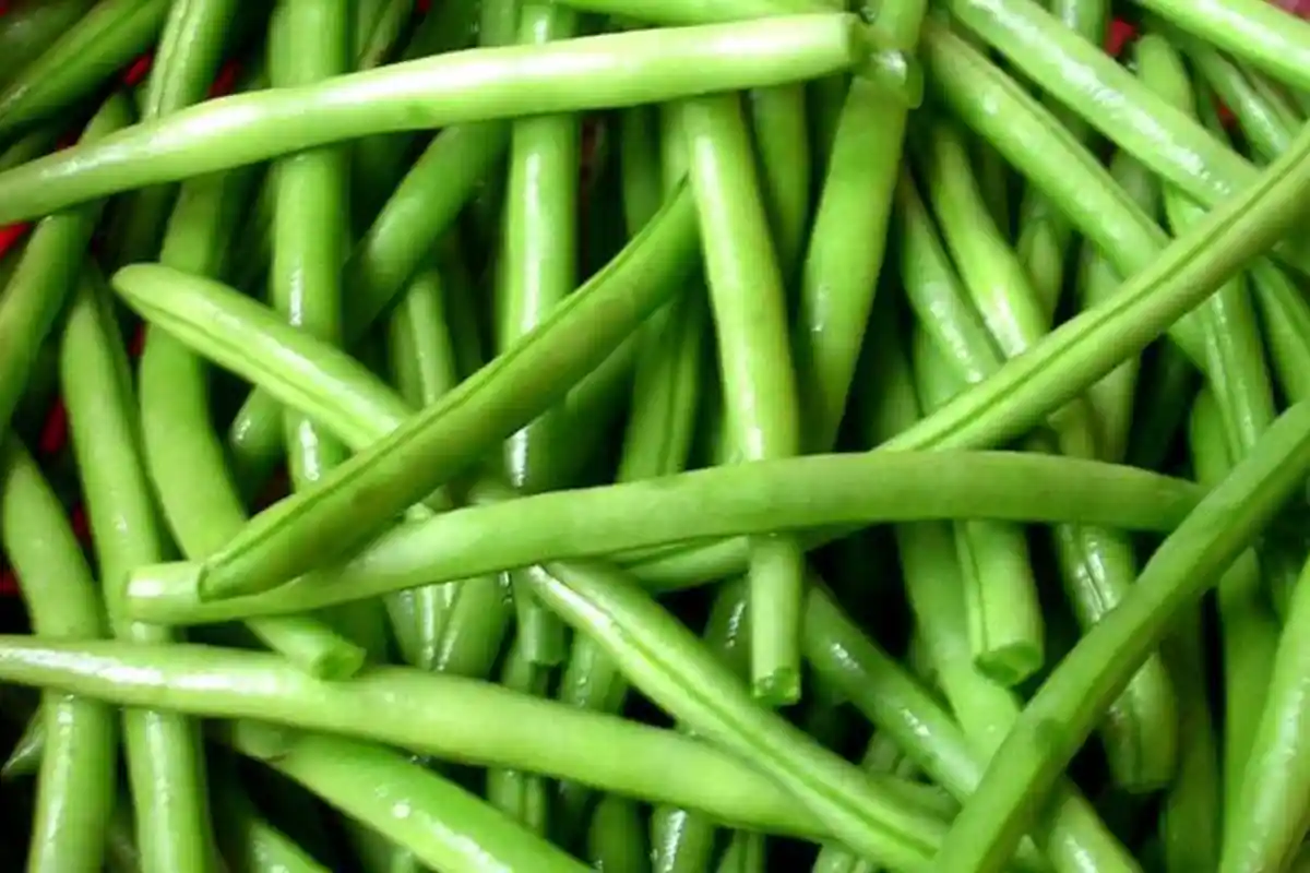 Cara Menurunkan Darah Tinggi dengan Buncis, Konsumsi Jus Buncis Dua Kali Sehari