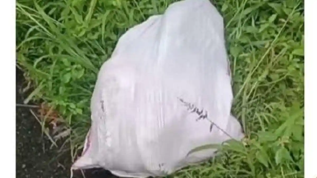 SOSOK Cinta Novita Sari Siswi MtS Tanah Datar yang Mayatnya Dalam Karung Putih di Pinggir Jalan