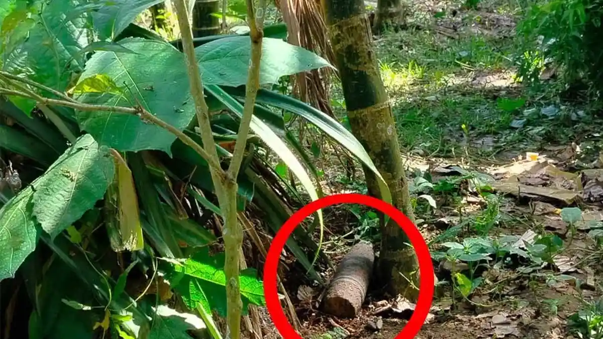 Satu Bom Mortir Sisa Perang Dunia II Dievakuasi dari Permukiman di Jayapura