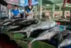 Harga Ikan Naik di Pasar Peunayong Aceh