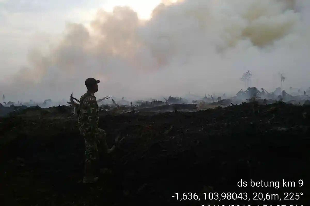 Api Masih Berkobar di Desa Betung, Hari Ketiga Kondisi Karhutla di PT PBP