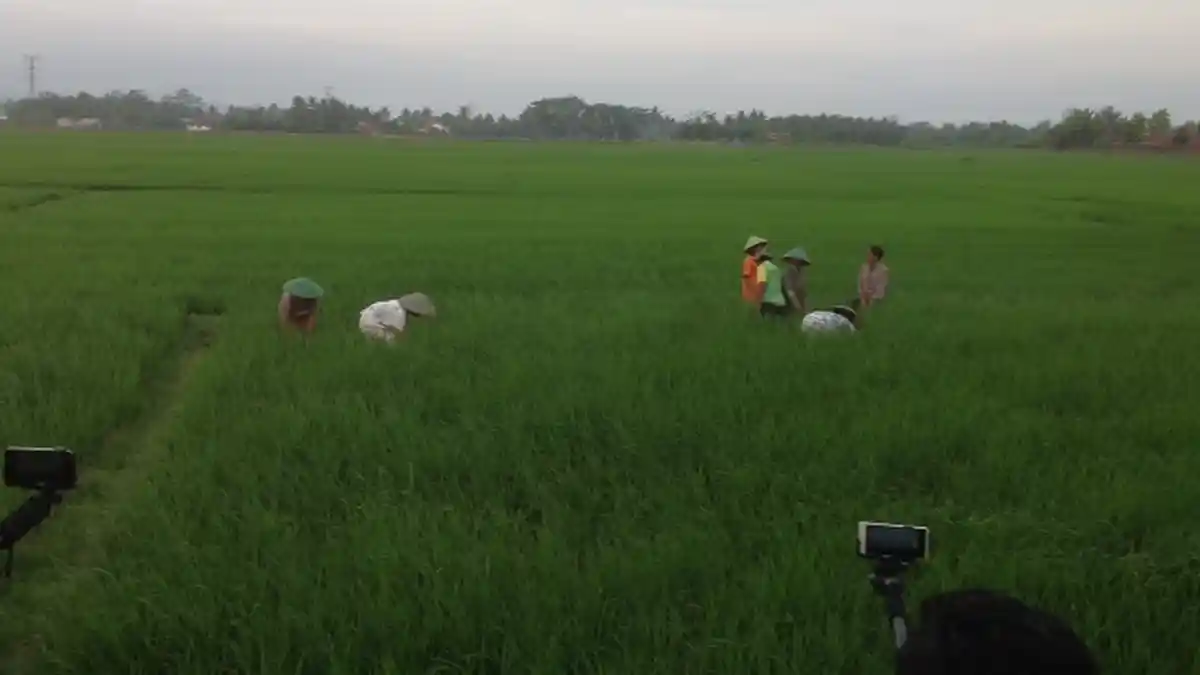 Petani Ini Mengaku Seperti Bermimpi Ditemui Jokowi di Sawah