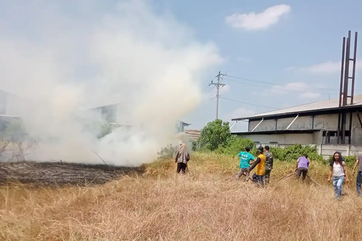 Lahan Pertanian di Mranggen Demak Mendadak Terbakar Pada Siang Bolong, Api Nyaris Merambat ke Gudang