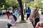 Car-free-masohi.jpg