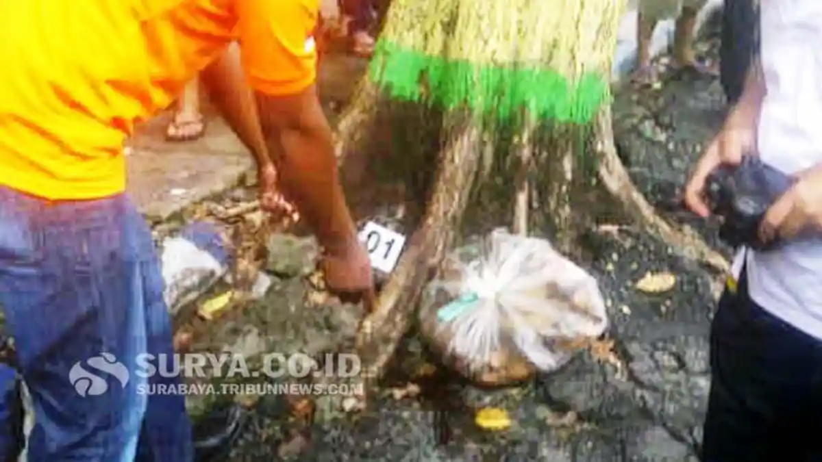 Pria yang Mondar-mandir di Kuburan Itu Ternyata Ranselnya Berisi Mayat Bayi Perempuan