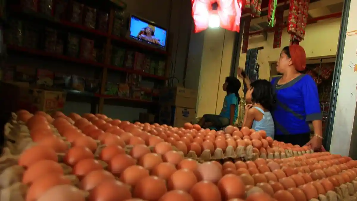 Meski Stok Telur di Berau Melimpah, Harga Tetap Naik, Berikut Penjelasan DTPHP