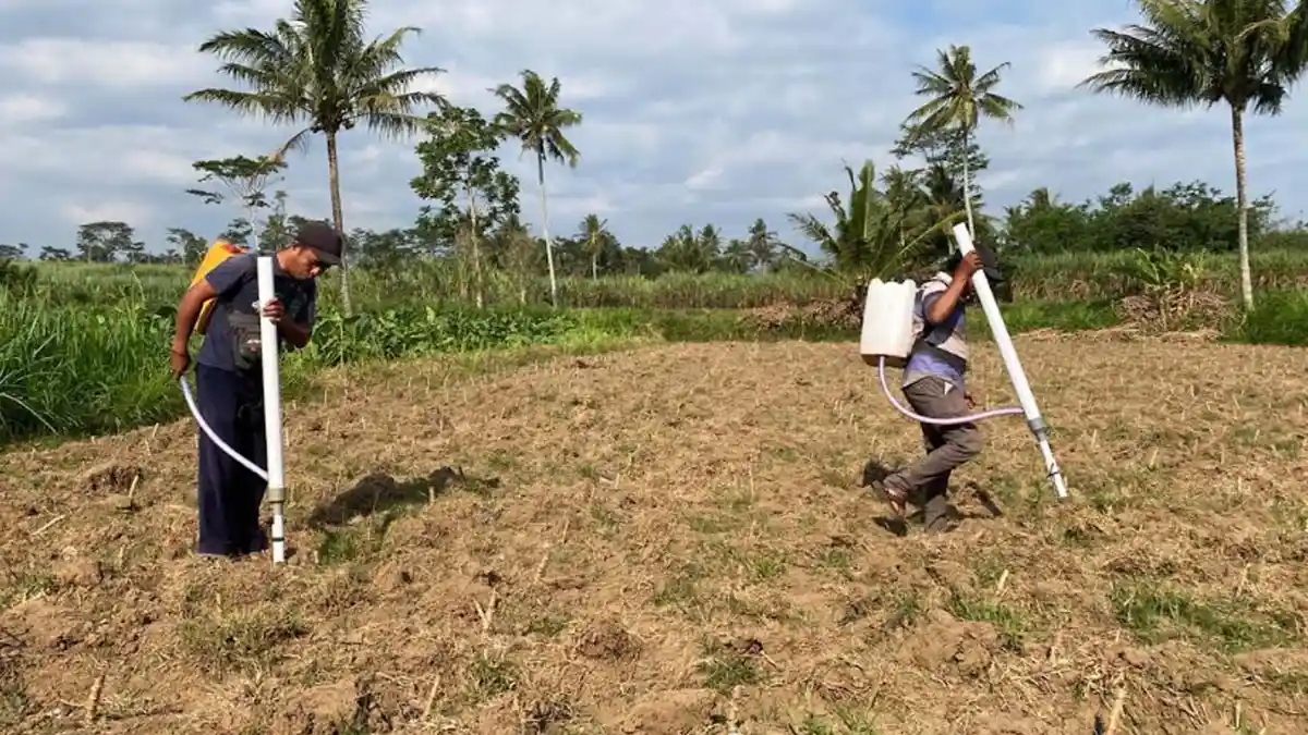 Tempanom, Alat Pertanian Tebar Pupuk Murah Meriah Karya Mahasiswa KKN Unej, Bermodal Rp 100 Ribu