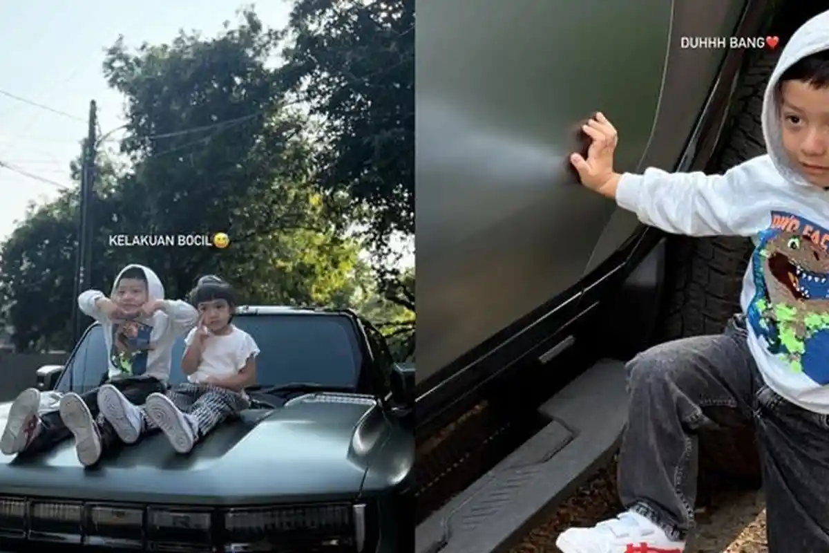 Tindakan Haldy Sabri Usai Air Rumi Injak Mobil Mewahnya Terekam Irish Bella, Ini Nasib Anak Ammar