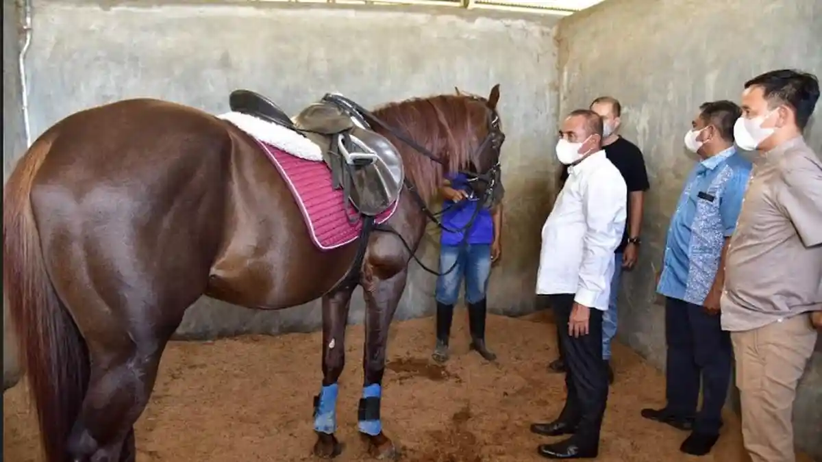 KUNJUNGI Venue Jericho Stable, Gubernur Edy Rahmayadi Pastikan Cabor Berkuda PON 2024 Main di Sergai