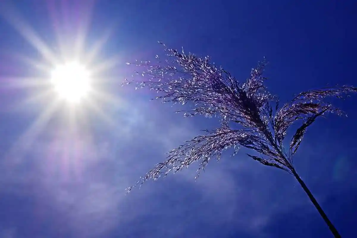 Info Cuaca Jatim Kamis, 29 Mei 2025: Gresik Daerah Terpanas Suhu 26 Derajat, Batu dan Malang Dingin