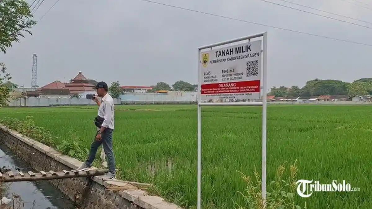 Sembari Tunggu Gedung Sekolah Rakyat Dibangun, Technopark Sragen Bakal Jadi Ruang Kelas Sementara